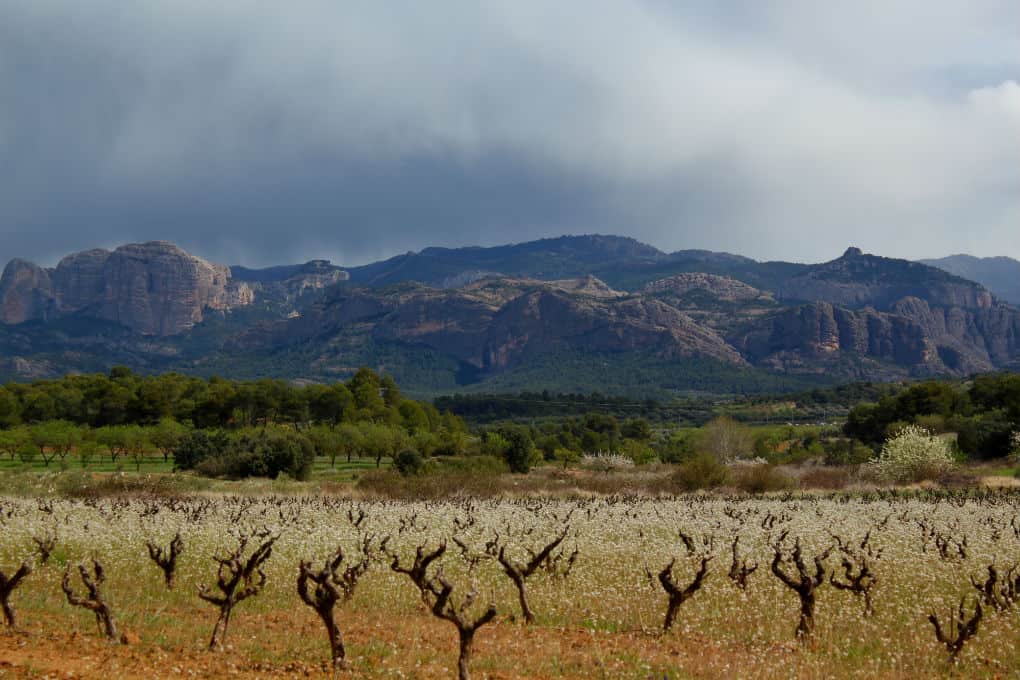 Via Verde krajobrazy