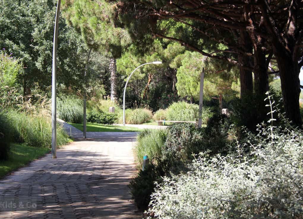 Atrakcje Barcelony dla dzieci - Wzgórze Montjuic