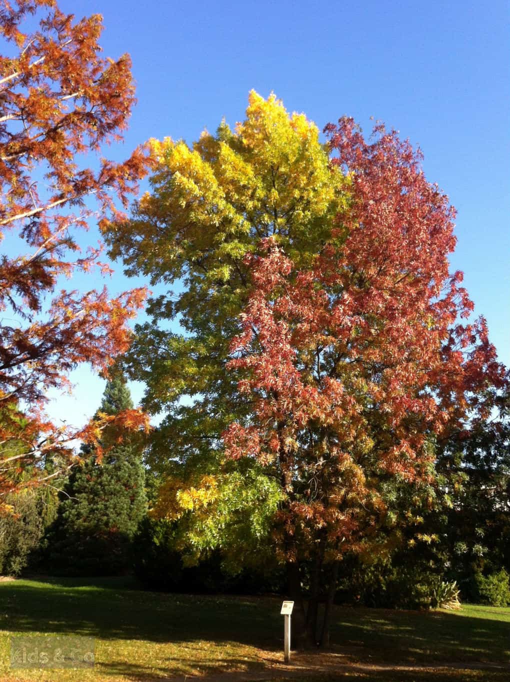 Aix-en-Provence z dziecmi - Park Saint Mitre