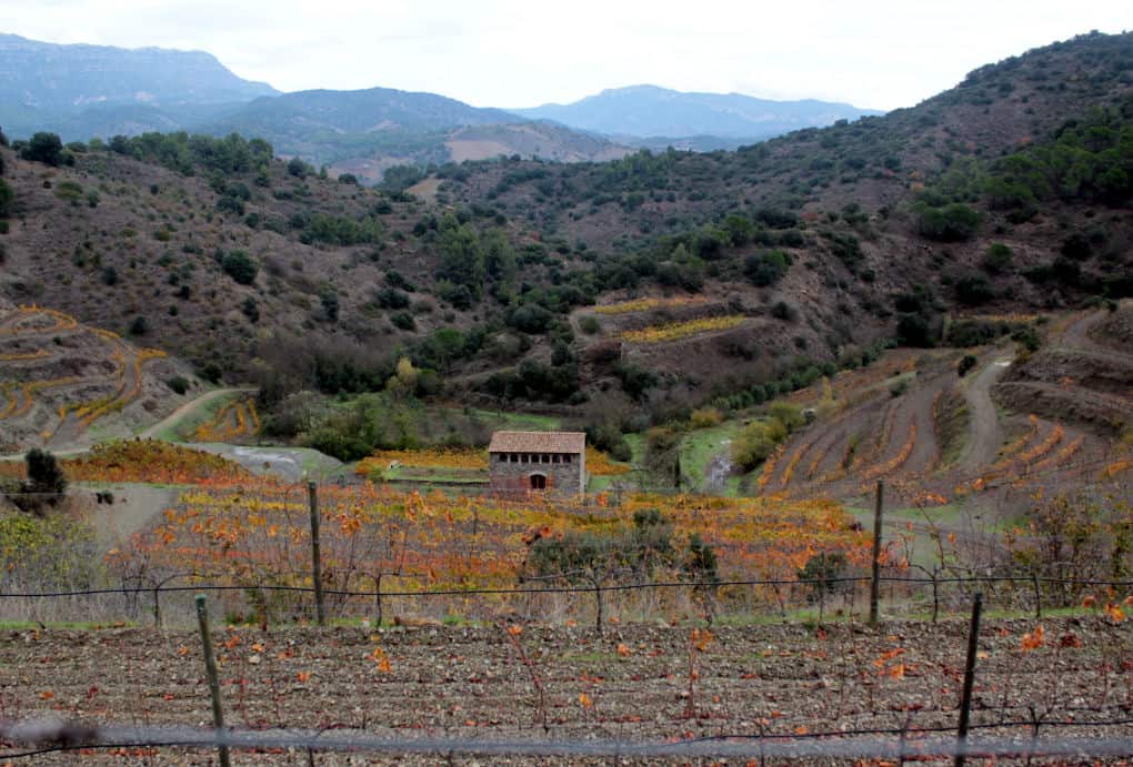 Wycieczki po Katalonii - Priorat z dziecmi