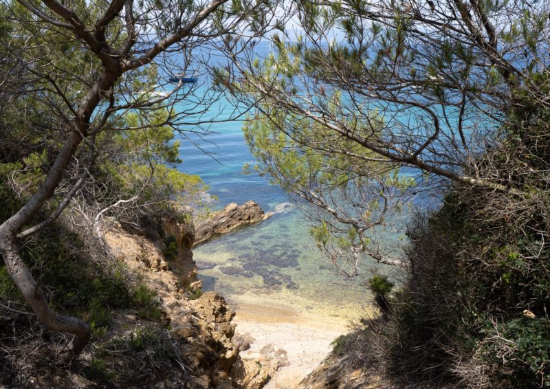 Lazurowe Wybrzeże - wyspa Porquerroles