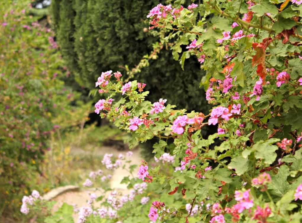 Urokliwe miasteczka Lazurowego Wybrzeża Urokliwe miasteczka Lazurowego Wybrzeża