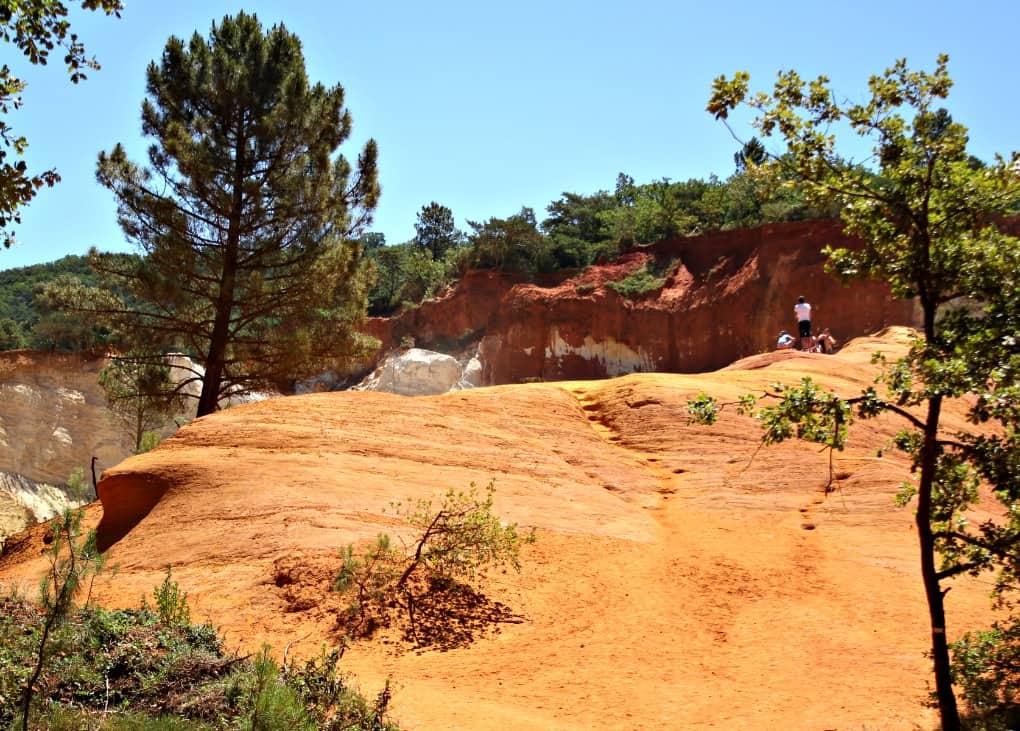 Prowansalskie colorado