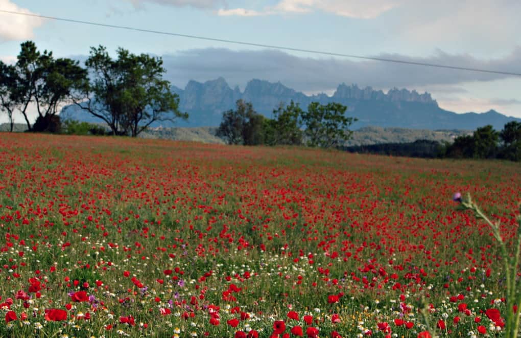 Najpiękniejsze miejsca Katalonii - Montserrat