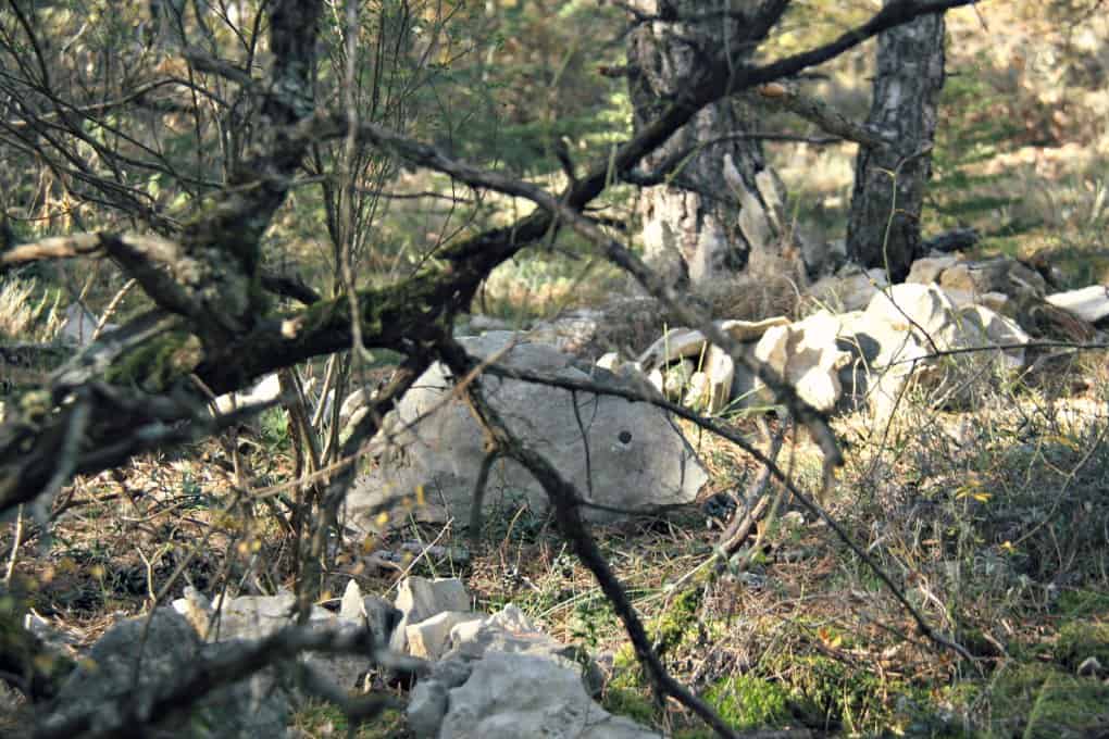 Magiczny las u podnozy Lure