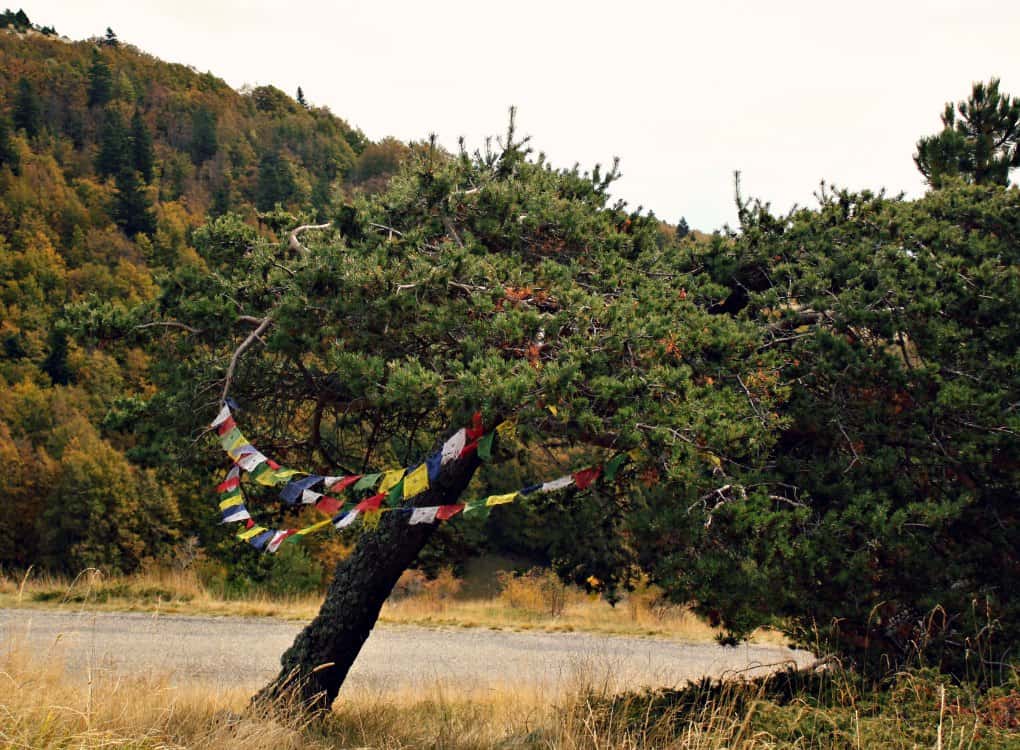 Wycieczki po Prowansji