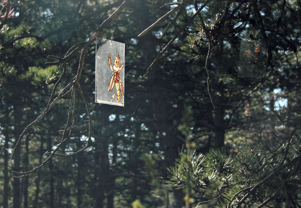 Wycieczki po Prowansji