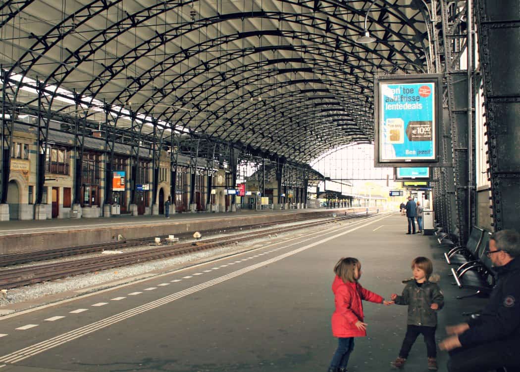 Holandia z dzieckiem - pola tulipanów