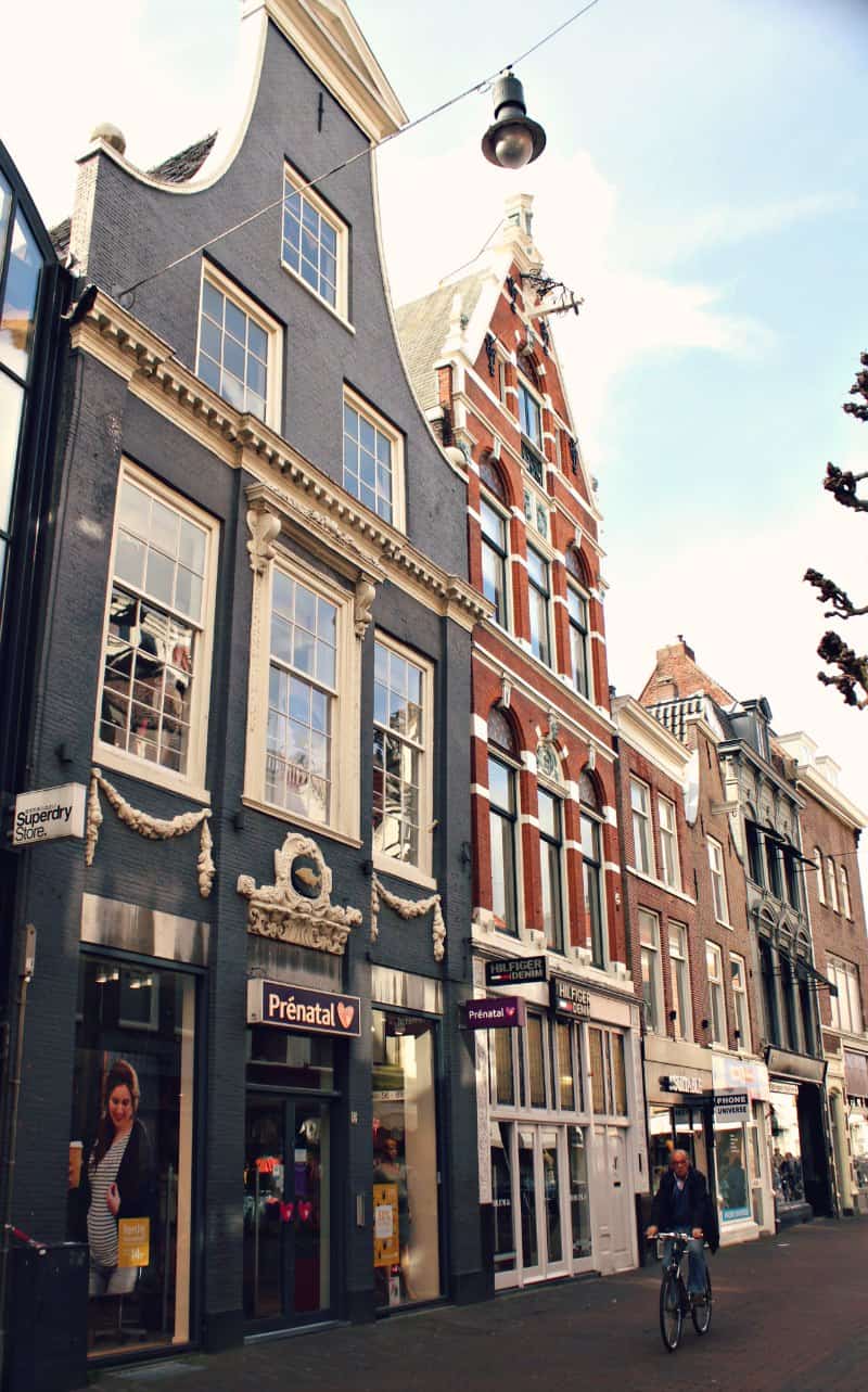 Holandia z dzieckiem - pola tulipanów