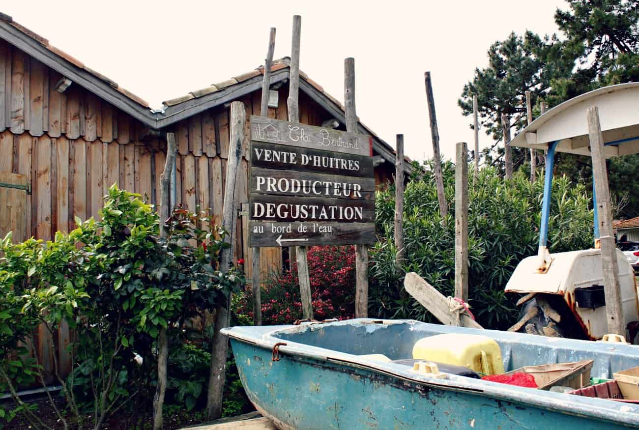 Ostrygi w Akwitanii