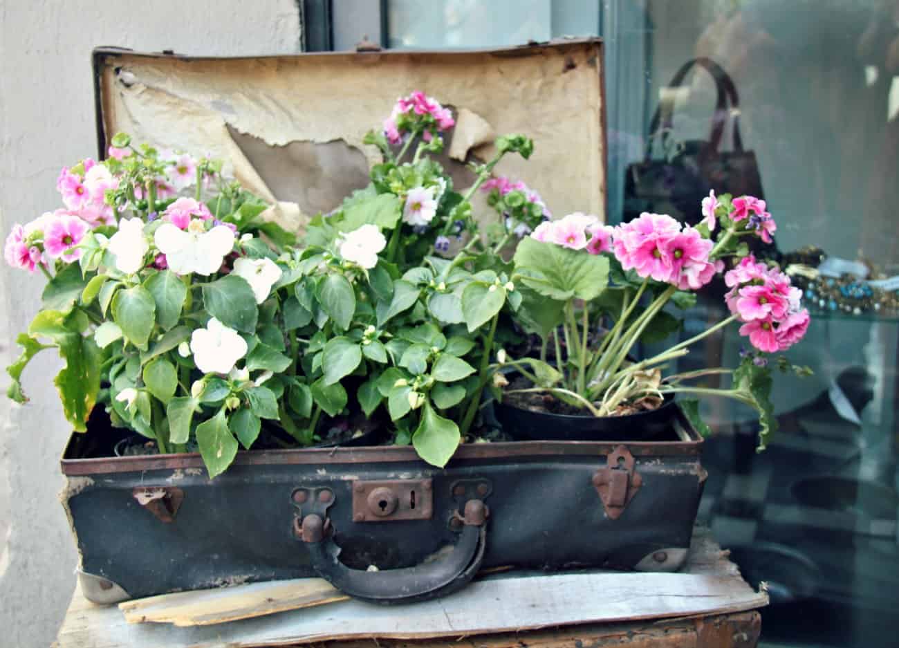 Florencja z dziećmi