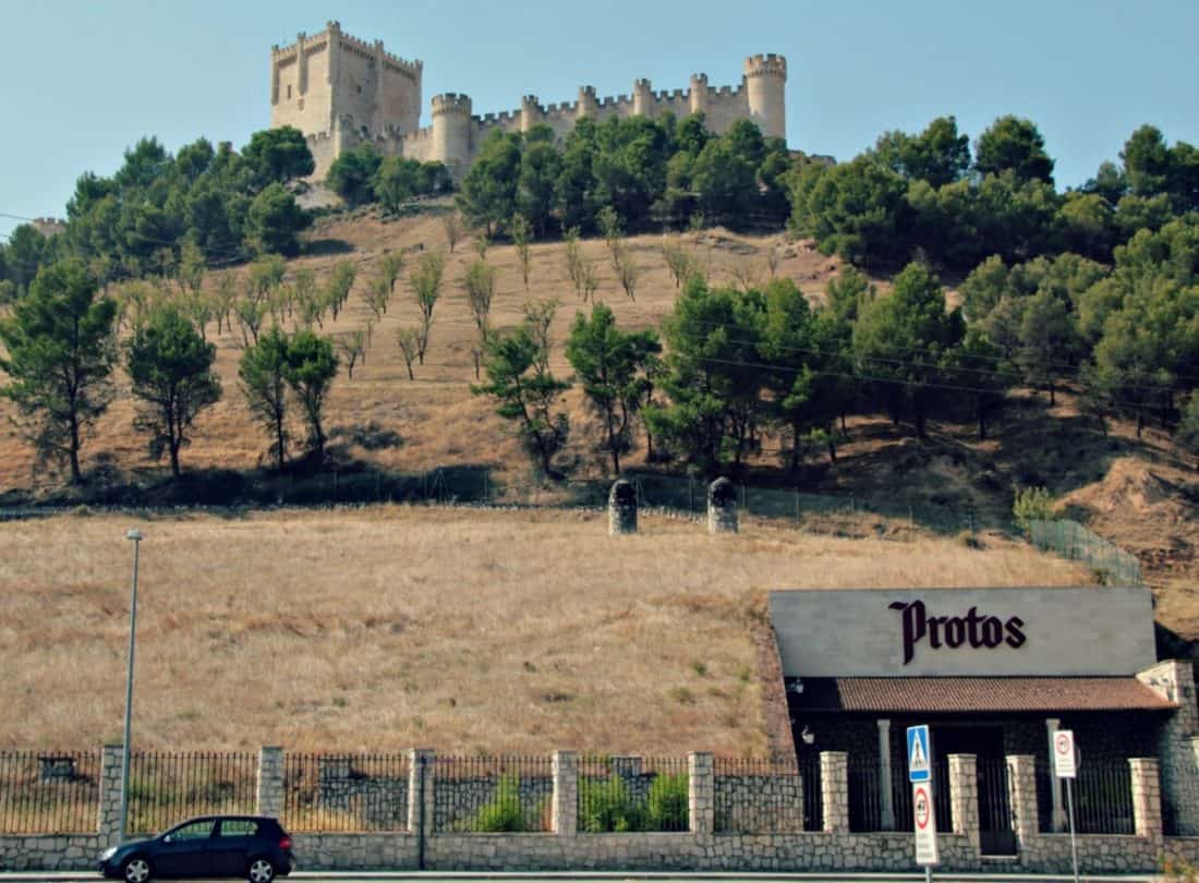 Kastylia Ribera del Duero