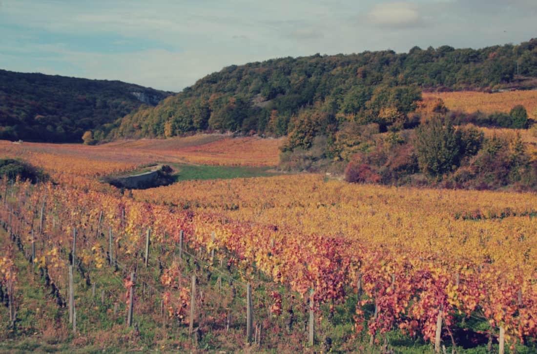 zwiedzanie Burgundii