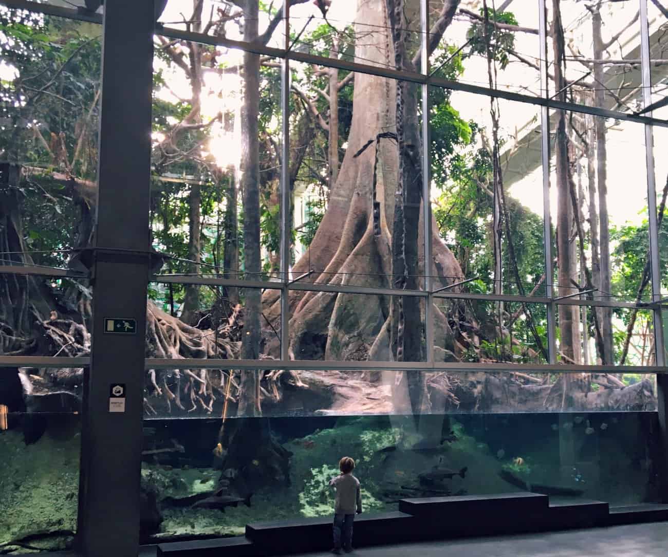 Barcelona dla dzieci - CosmoCaixa