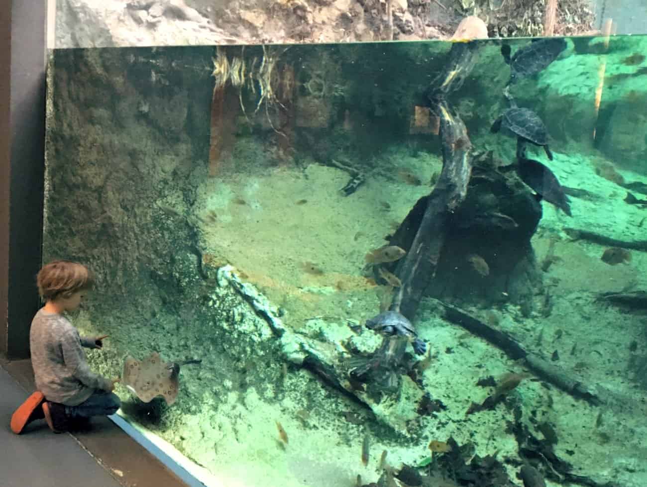 Barcelona dla dzieci - CosmoCaixa