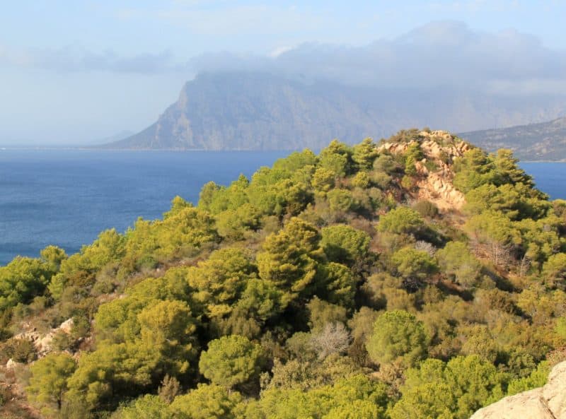 najpiękniejsze miejsca Sardynii - Tavolara