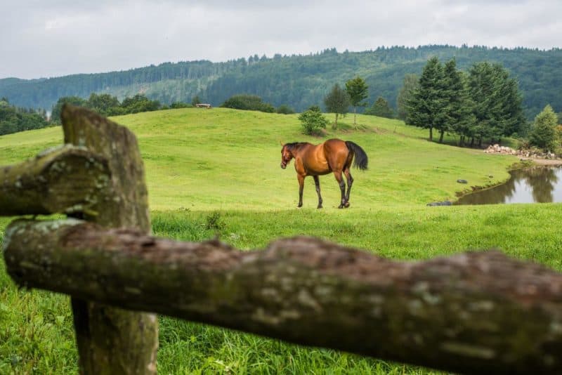aktywne wakacje na Kaszubach