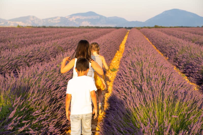 Przewodnik Prowansja z dzieckiem
