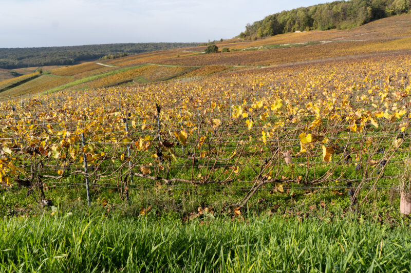 Pomysły na zwiedzanie Szampanii