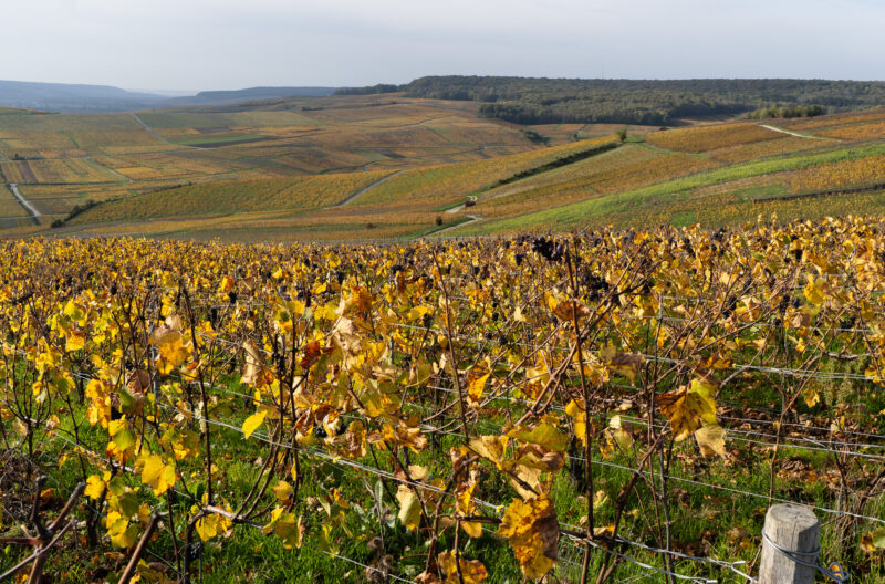 zwiedzanie Szampanii