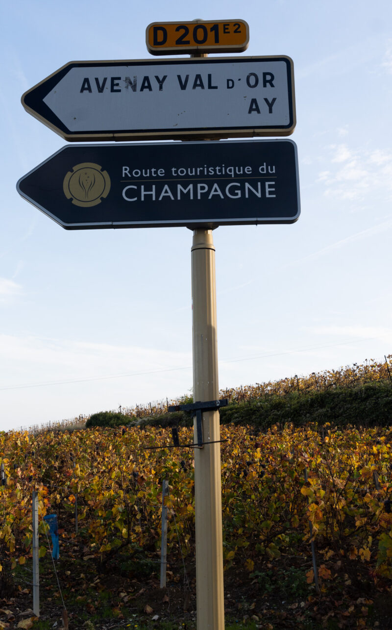 co robić w Szampanii