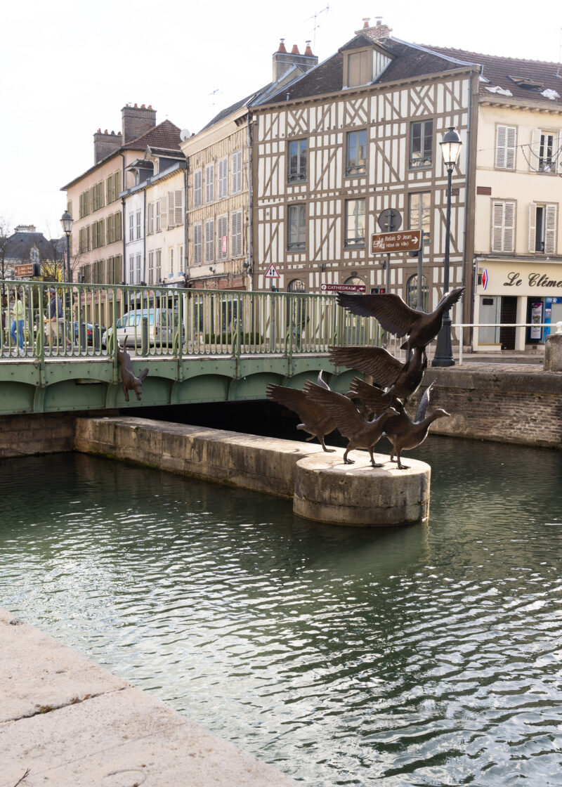 Szampania rejsy po rzece Marne